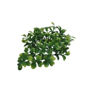 Lucky Reptile Bacopa 40 cm - cena, porovnanie