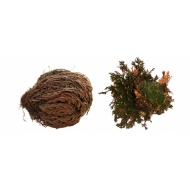 Lucky Reptile Rose of Jericho 50 g FP-64210 - cena, porovnanie