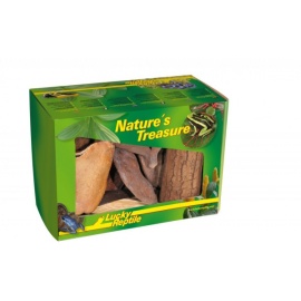 Lucky Reptile Nature`s Treasure - Deco Box