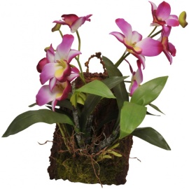 Lucky Reptile Závěsná orchidej purpurová 20x30 cm