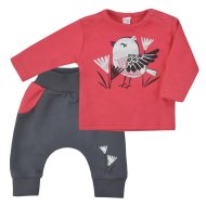 Koala Dojčenské bavlnené tepláčky a tričko Birdy - cena, porovnanie