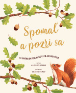 Spomaľ a pozri sa - cena, porovnanie