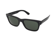 Ray Ban RB2283 - cena, porovnanie