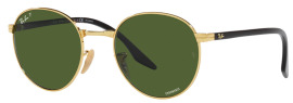 Ray Ban RB3691