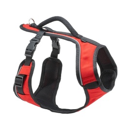 Petsafe EasySport L