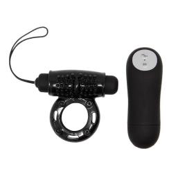 Baile Control Remote Black 20v Ring