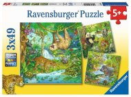 Ravensburger 051809 Zvieratá v džungli 3x49 - cena, porovnanie