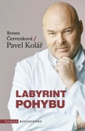 Labyrint pohybu - cena, porovnanie