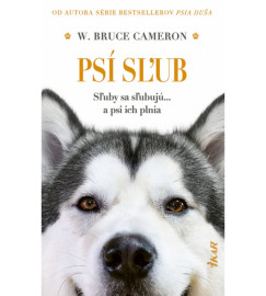 Psí sľub