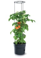 Prosperplast TOMATO GROWER 39,2 cm - cena, porovnanie