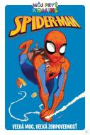 Spider-Man Veľká moc, veľká zodpovednosť - cena, porovnanie
