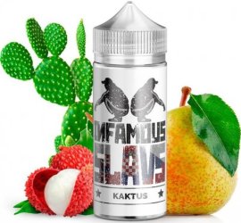 Infamous Slavs Shake and Vape Kaktus 20ml