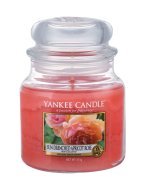 Yankee Candle Sun-Drenched Apricot Rose 623g - cena, porovnanie
