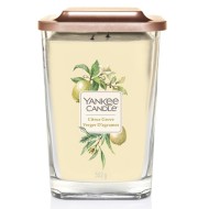 Yankee Candle Elevation Collection Citrus Grove 552g - cena, porovnanie