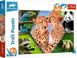 Trefl Puzzle 100 - Krása prírody / Discovery Animal Planet