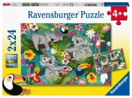 Ravensburger Ravensburger Koaly a leňochy 2x24 - cena, porovnanie