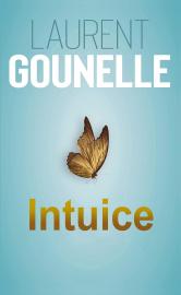 Intuice - Laurent Gounelle