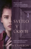 Svetlo v úkryte - cena, porovnanie