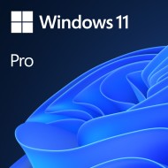 Microsoft Windows 11 Pro ENG 64bit OEM