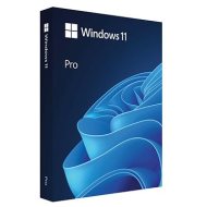 Microsoft Windows 11 Pro 64bit ENG USB