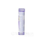 Boiron Bellis Perennis CH30 4g - cena, porovnanie