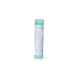 Boiron Anacardium Orientale CH200 4g