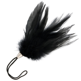 Darkness Black Feather