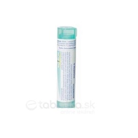 Boiron Apis Mellifica CH200 4g