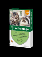 Bayer Advantage Spot-on pro malé kočky a králíky 0.4ml - cena, porovnanie