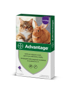 Bayer Advantage 80mg pre veľké mačky a králiky 0.8ml