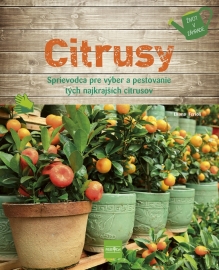 Citrusy - Eliana Ferioli