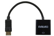 Evolveo DisplayPort - DVI adaptér EV-DP-DVI - cena, porovnanie