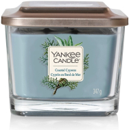 Yankee Candle Elevation Coastal Cypress 347g - cena, porovnanie