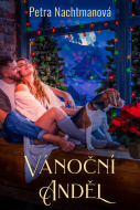 Vánoční anděl - cena, porovnanie