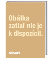 Zázraky - Valentín Šefčík - cena, porovnanie