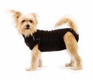 Suitical Dog Pooperačné oblečenie S - cena, porovnanie