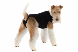 Suitical Dog Pooperačné oblečenie S Plus