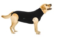 Suitical Dog Pooperačné oblečenie L - cena, porovnanie