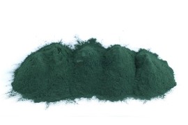 Krmiva Hulín Spirulina - Sladkovodná riasa 500g