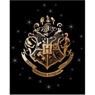 E Plus M Fleecová deka Harry Potter so zlatým erbom Rokfortu 120 x 150 cm - cena, porovnanie