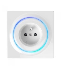 Fibaro Walli FGWOE-011