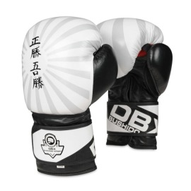 Bushido Boxerské rukavice DBX B-2V8