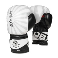 Bushido Boxerské rukavice DBX B-2V8 - cena, porovnanie