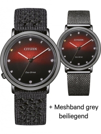 Citizen EM1007