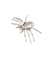 Smiffys Dekorácia Pavúčí kostlivec - malý - cena, porovnanie