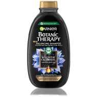 Garnier Botanic Therapy Magnetic Charcoal & Black Seed Oil šampon 250ml - cena, porovnanie