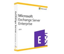 Microsoft Exchange Server Enterprise 2013     395-04469