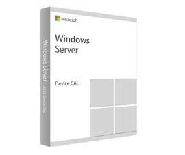 Microsoft Windows RDS CAL 2019 SNGL OLP NL device CAL 6VC-03747
