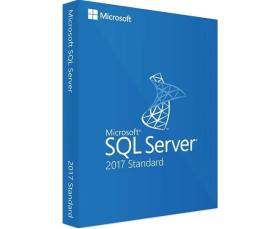 Microsoft SQL Server 2017 Standard,     228-11135