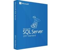 Microsoft SQL Server 2017 Standard,     228-11135 - cena, porovnanie